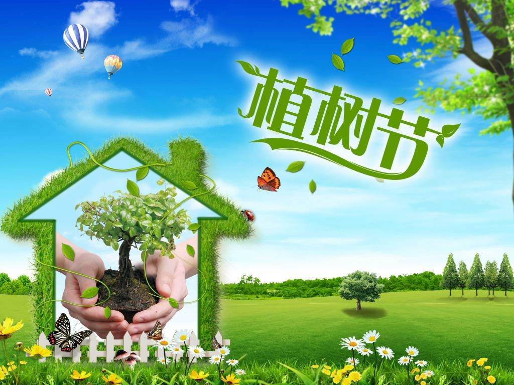 北京現(xiàn)代“智現(xiàn)代，植未來”，你我共建森林邵陽